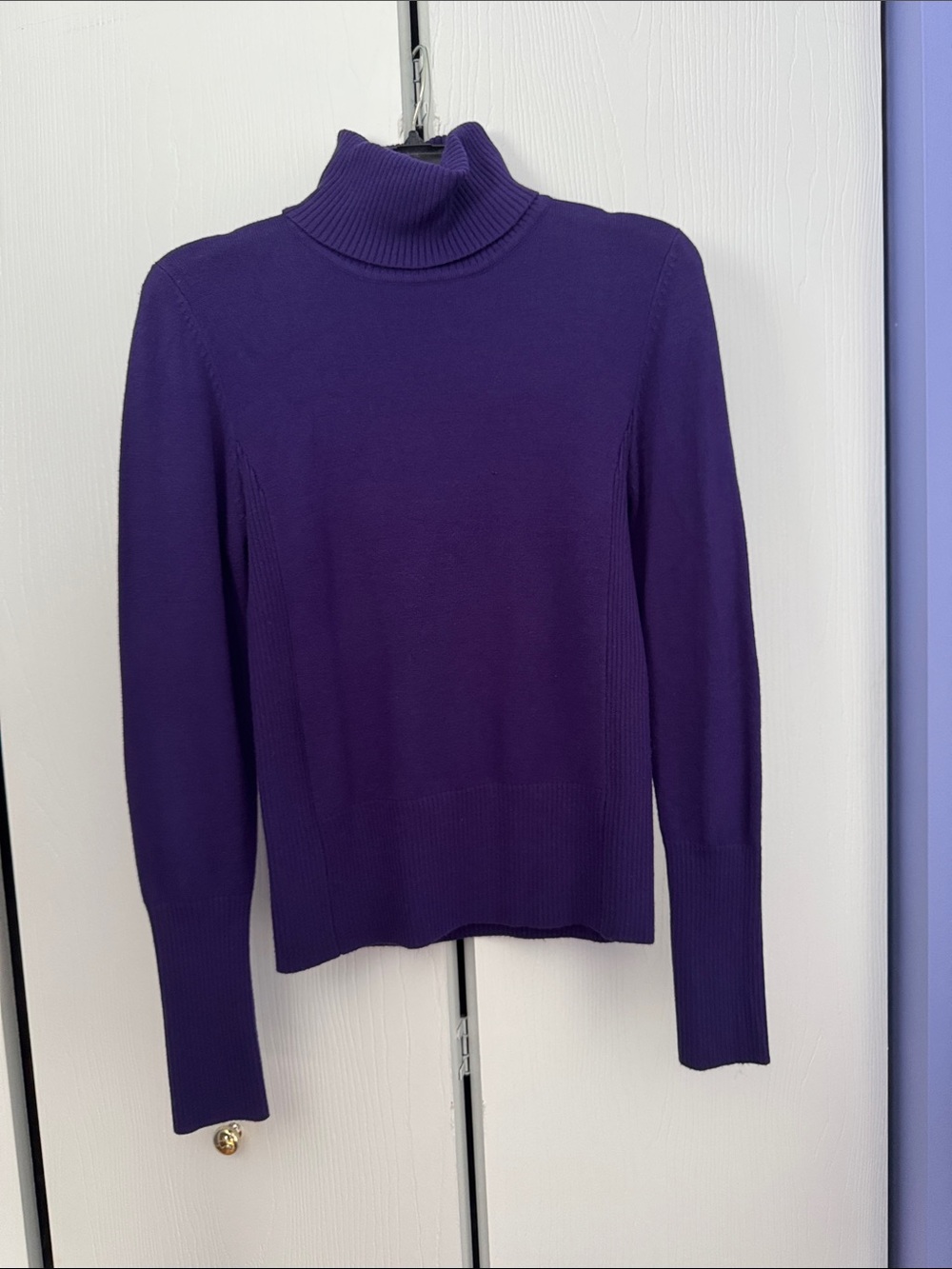 Purple Turtleneck Sweater - Women